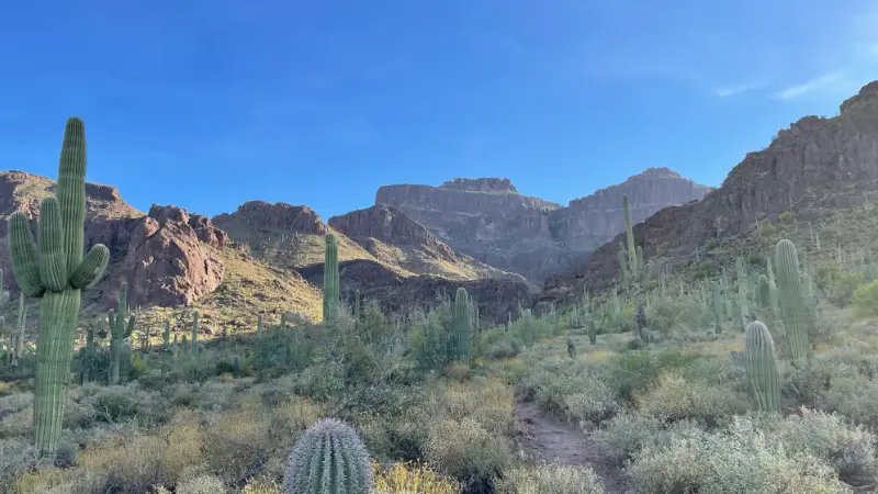 Pinal County